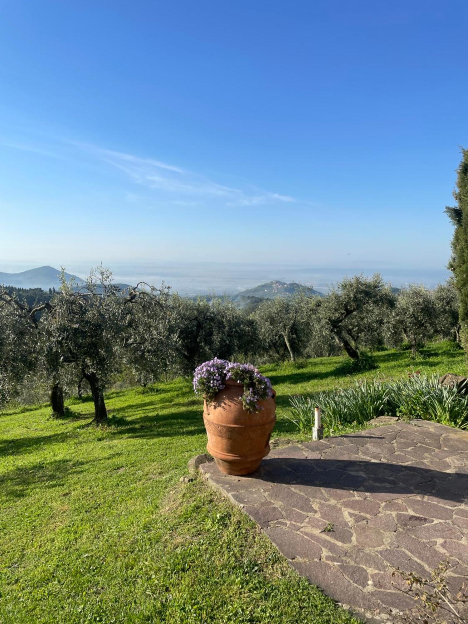 Podere Il Poggio Avaglio Luaran gambar